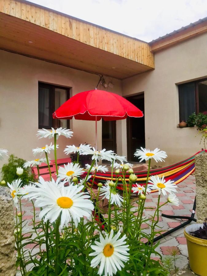Guesthouse And Cottage Nicolo Kazbegi Exteriör bild