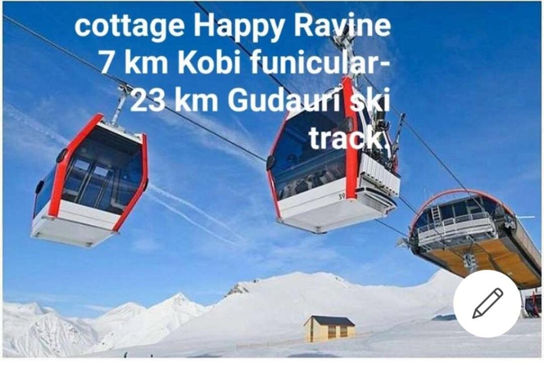 Guesthouse And Cottage Nicolo Kazbegi Rum bild